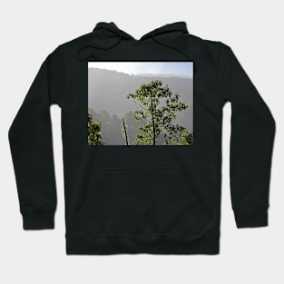 La Savegre Cloud Forest Hoodie